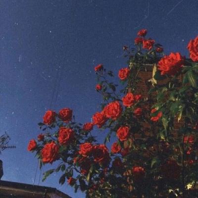 爱体育官方网站